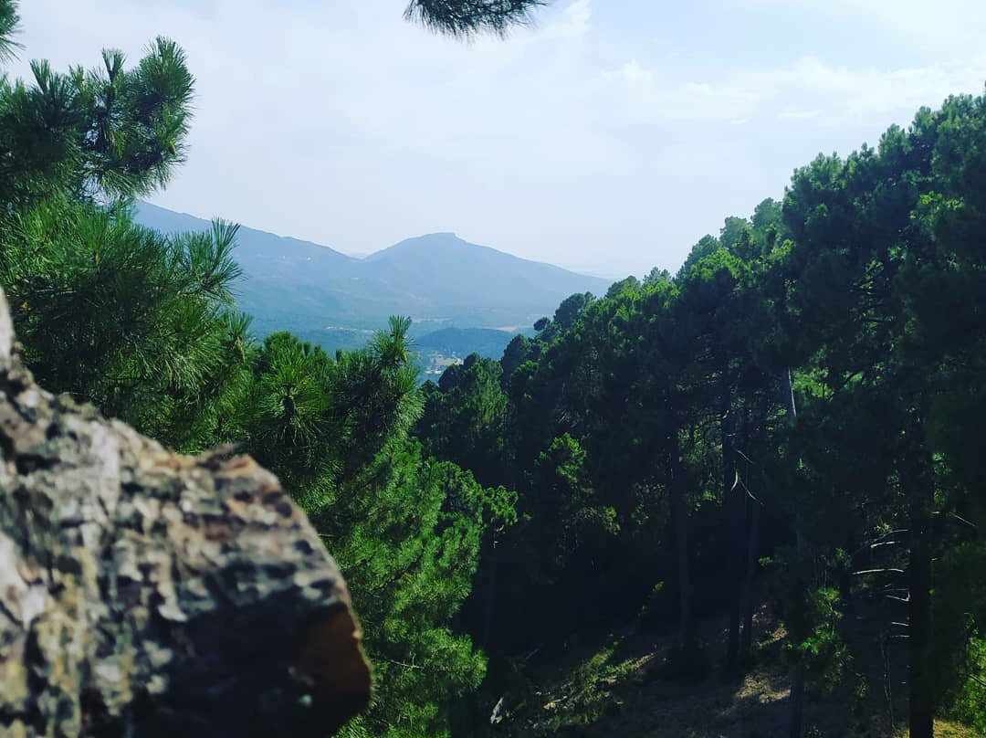 Reves de Cimes景点图片