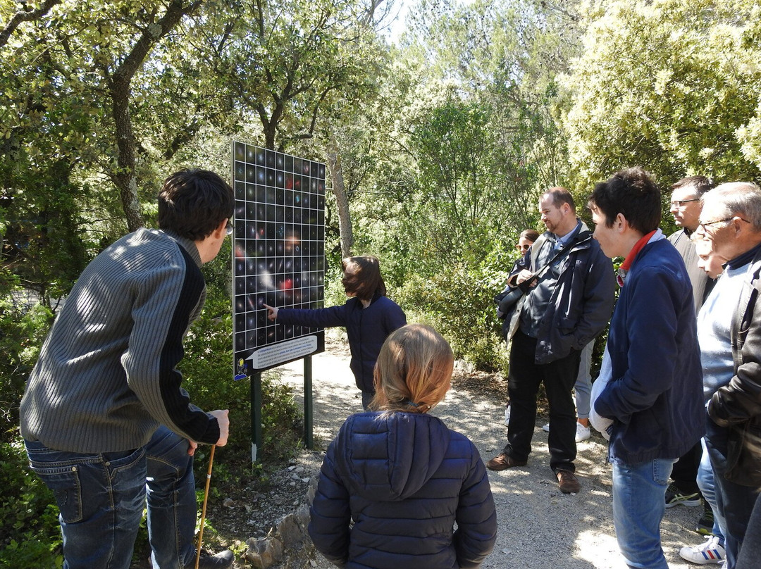 Parc du Cosmos景点图片