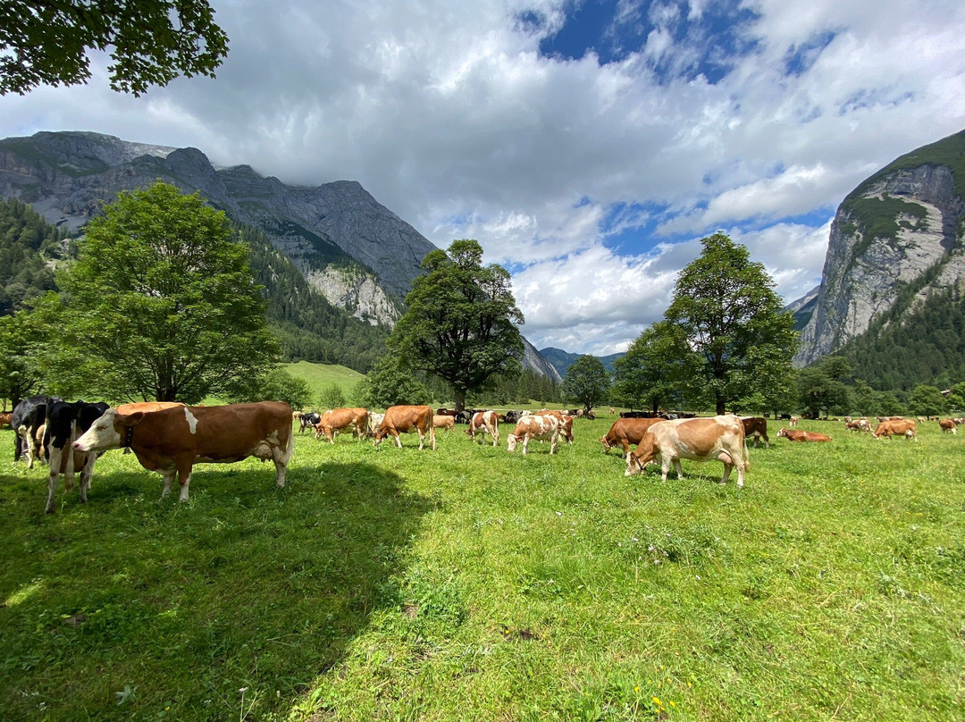 Naturschutzgebiet Grosser Ahornboden-Hinterriss必去景点