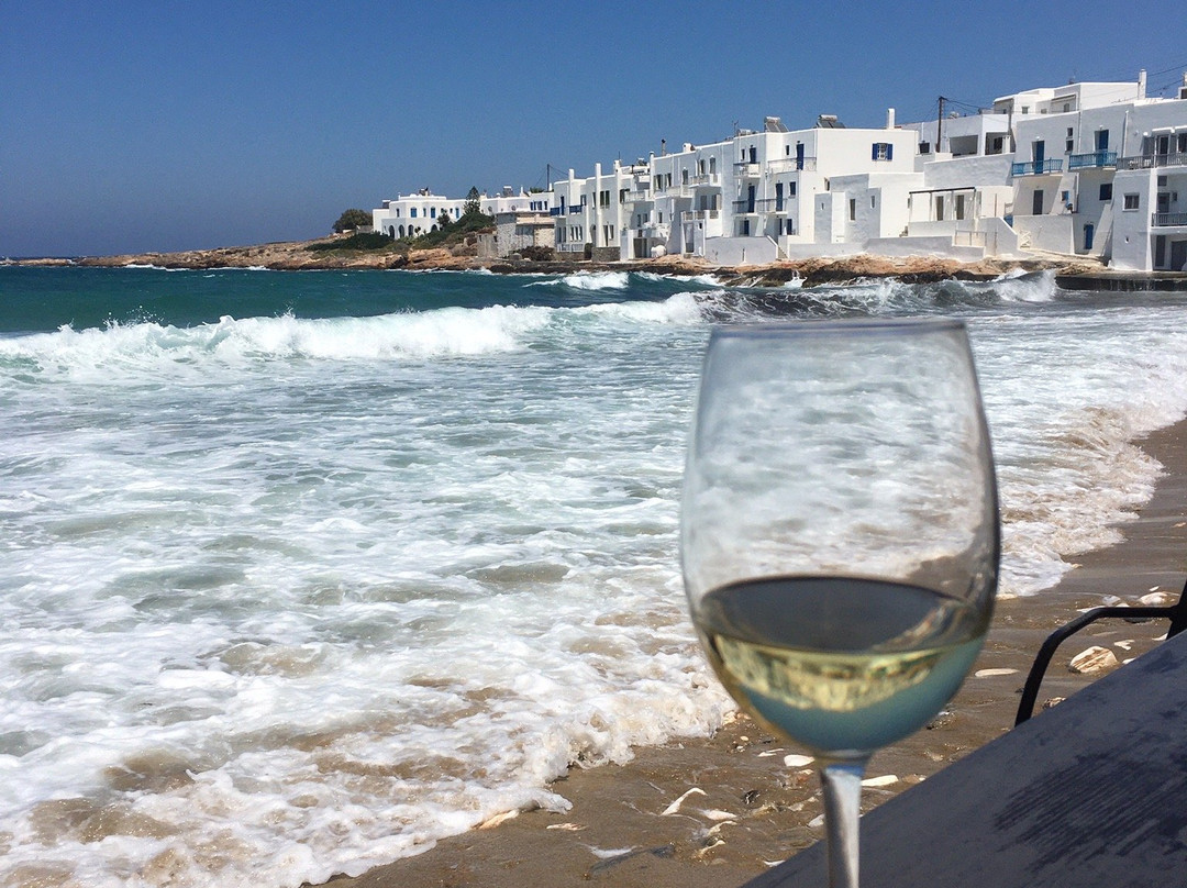 Fotis all Day Bar-纳乌萨必去景点