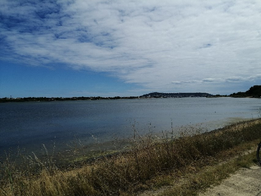 Etang de Thau景点图片