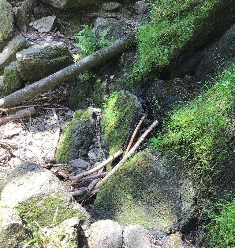 Blauenthaler Wasserfall-Eibenstock必去景点