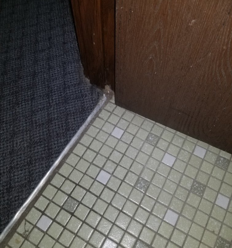 Daniel Boone Motor Inn主图