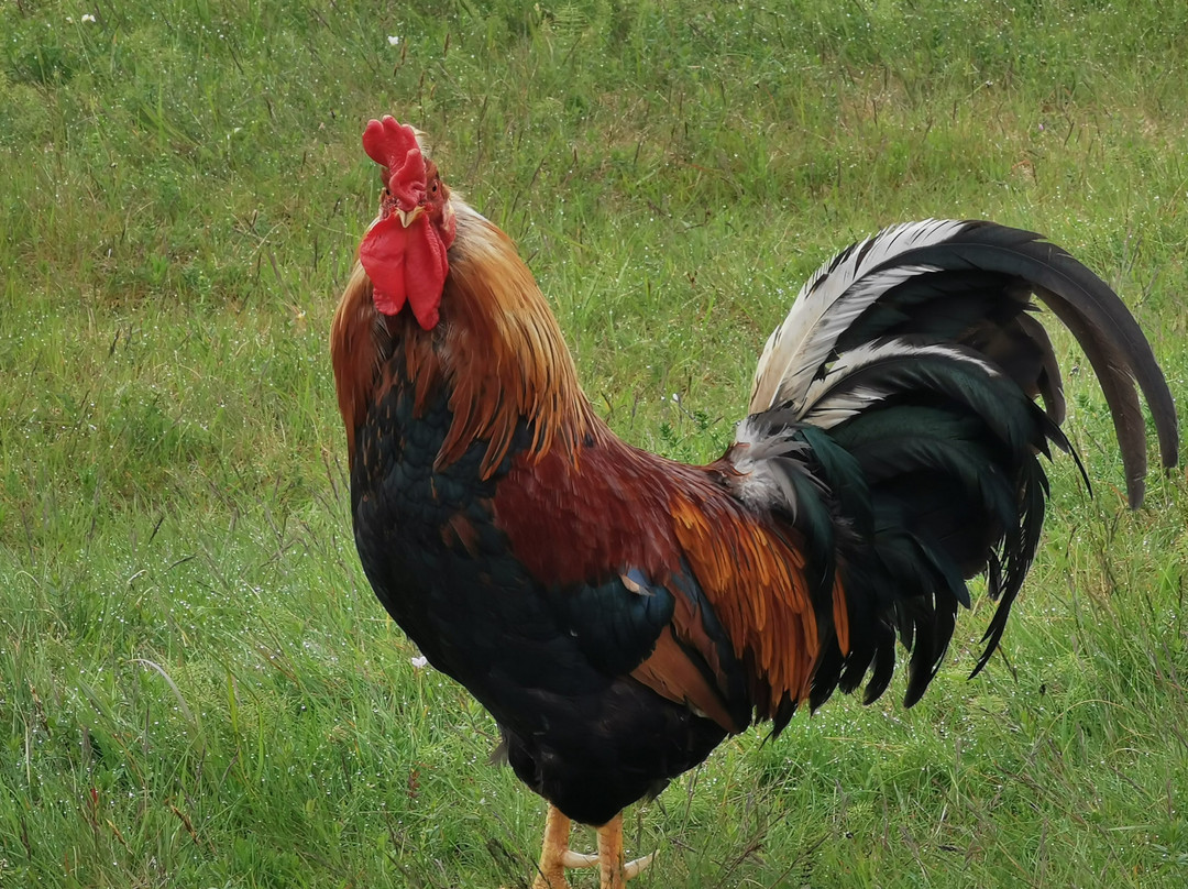 朱利亚宾馆主图