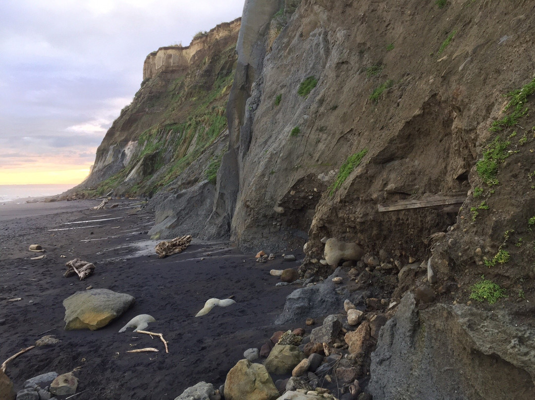 Waihi Beach景点图片