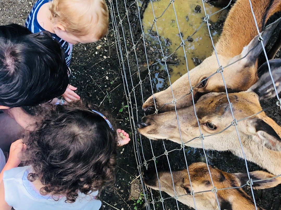 Parc zoologique Bienne-比尔必去景点