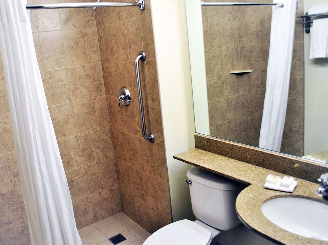 Microtel Inn & Suites by Wyndham Toluca主图