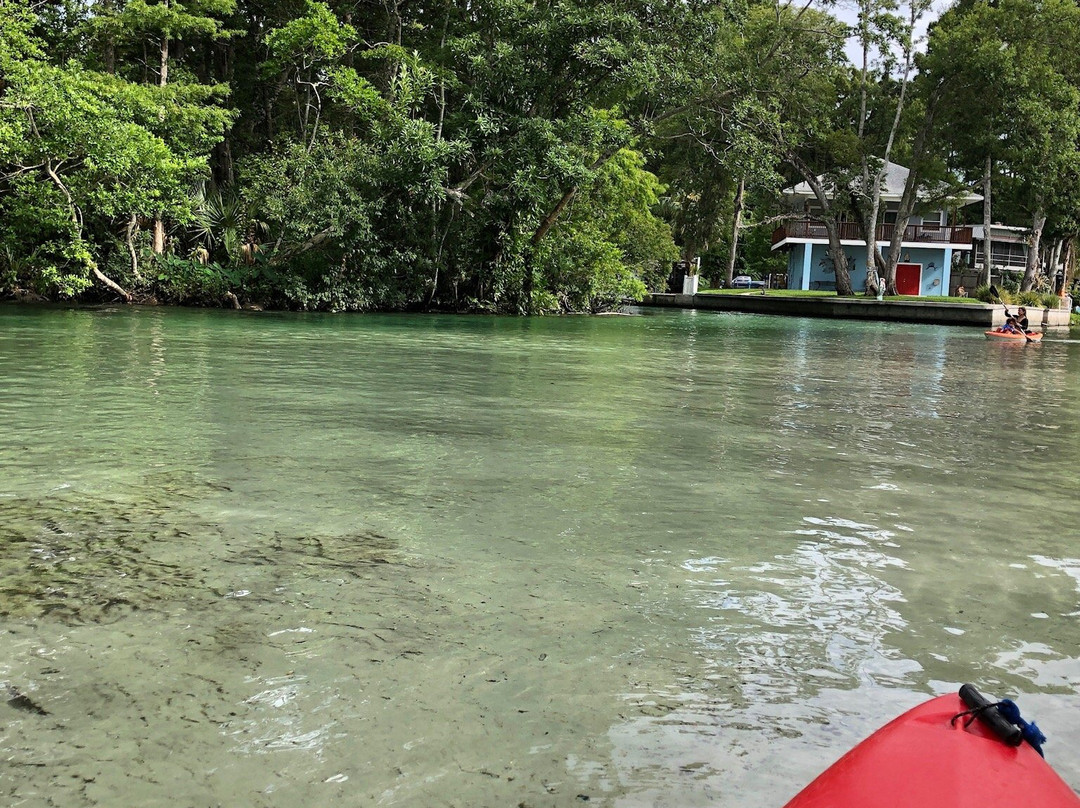 The Kayak Shack-Weeki Wachee必去景点