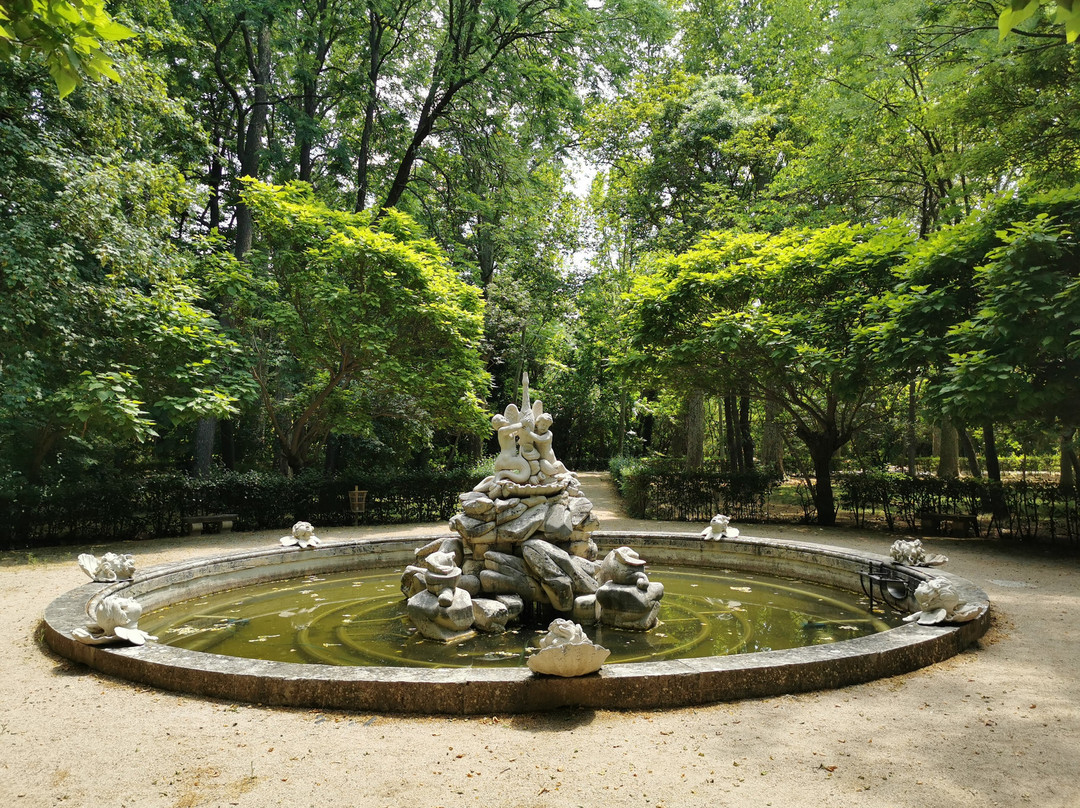 Fuente de Los Cisnes-阿兰胡埃斯必去景点