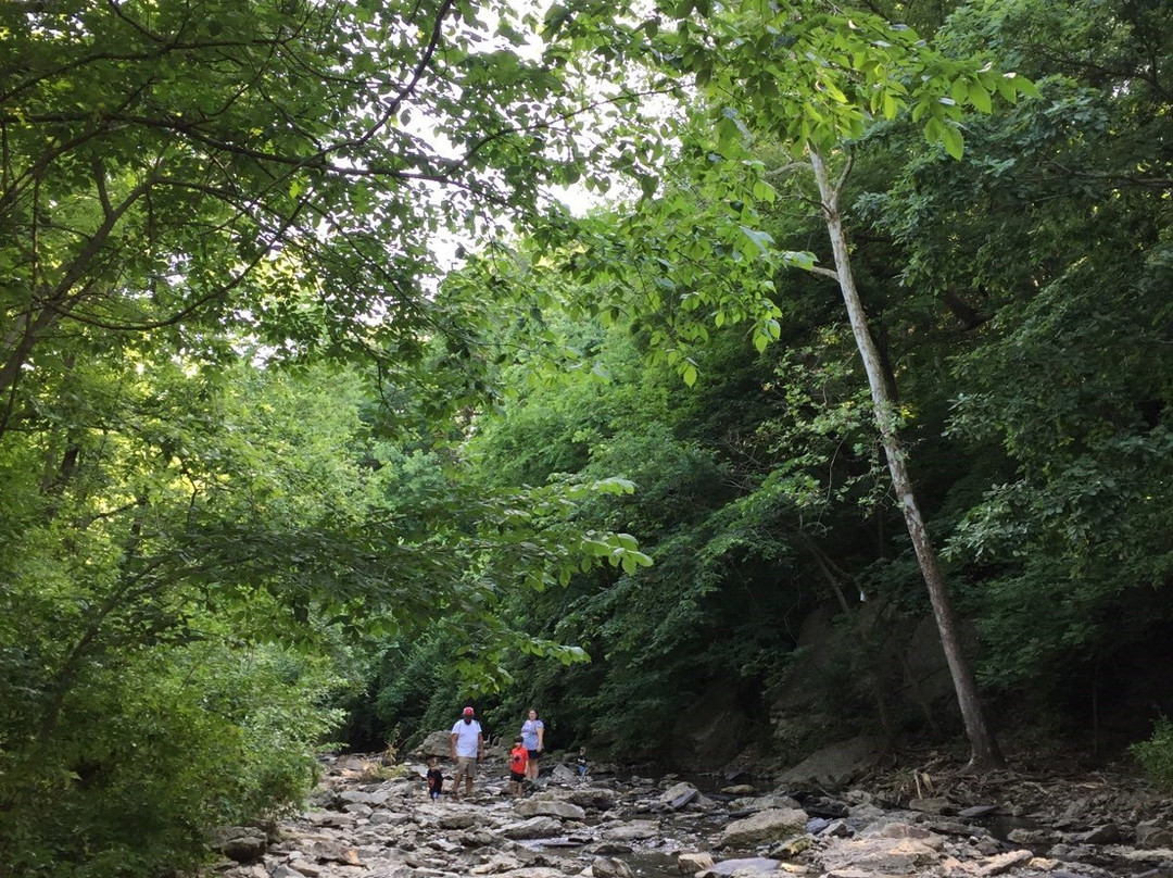 Winterset Nature Area-Lee's Summit必去景点