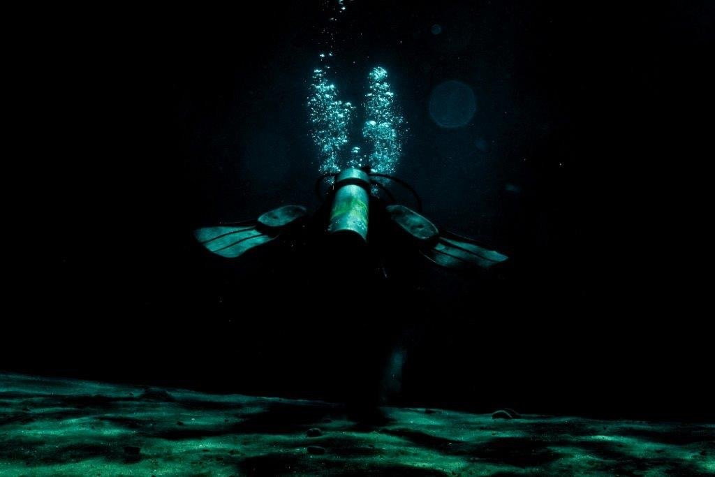 Krokodyle Diving Center景点图片