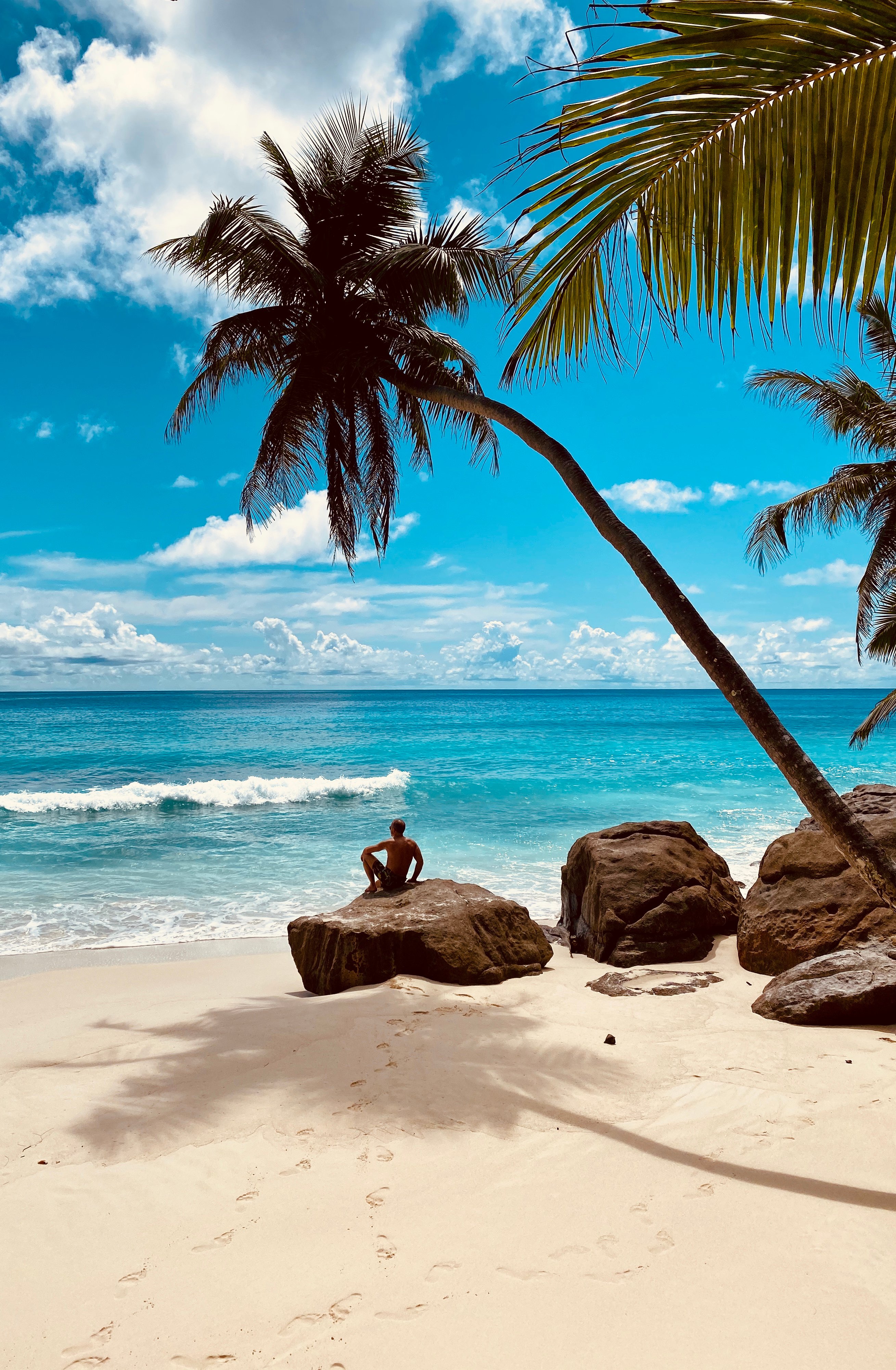 North Island, A Luxury Collection Resort, Seychelles-泳池