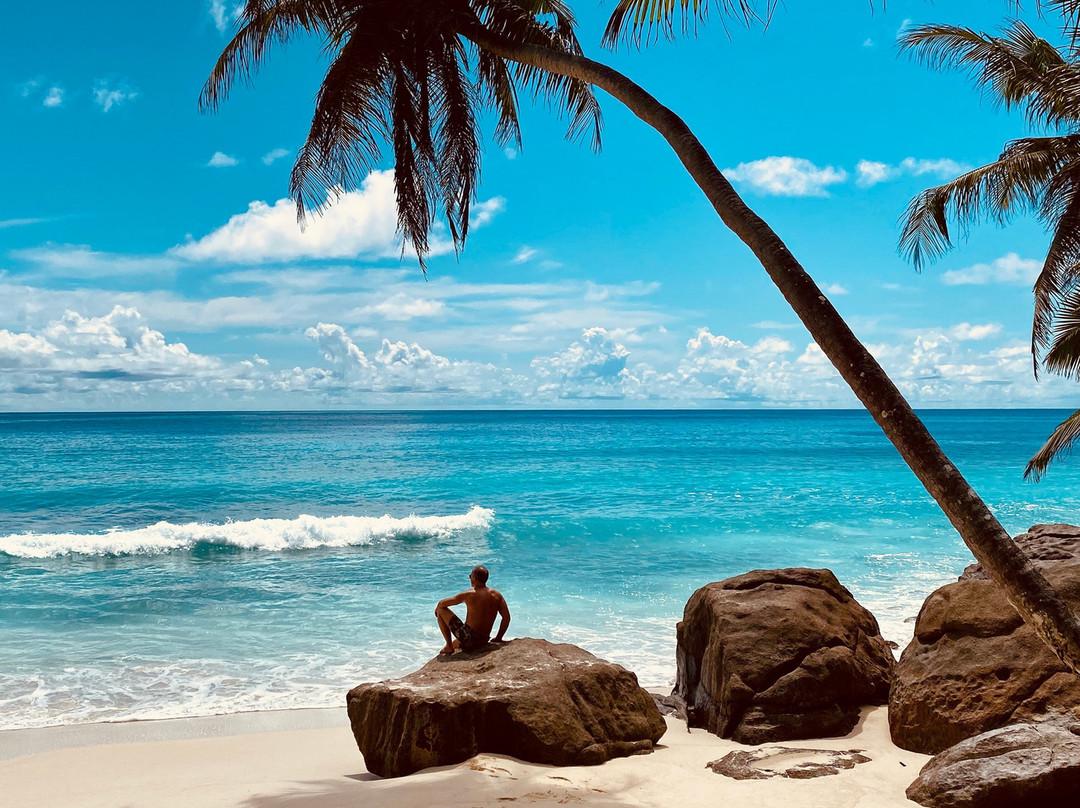 North Island Seychelles主图