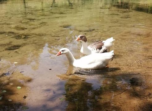 Yesilgoz-Kahramanmaras必去景点