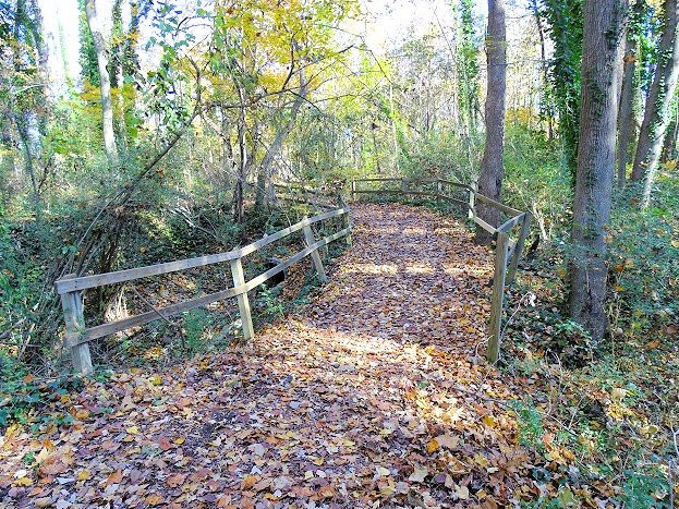 Chesapeake Arboretum景点图片