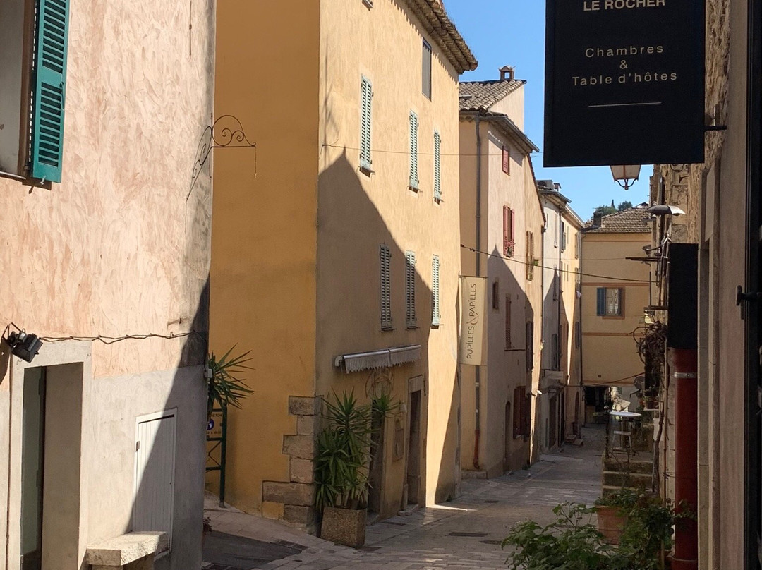 Place des Arcades景点图片