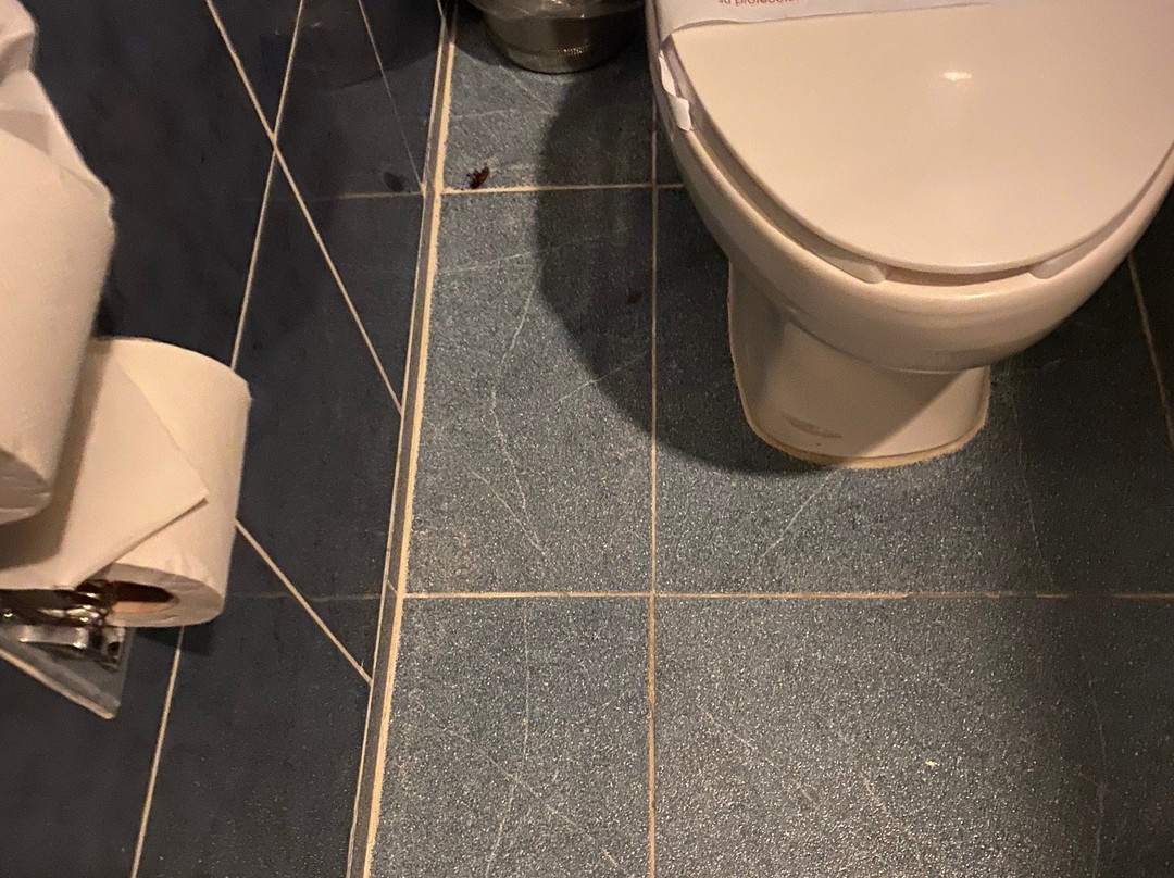 Capital O 114 Mandarin Carton主图