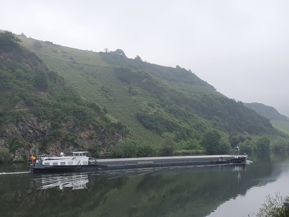 Alt Reinsport Pension主图