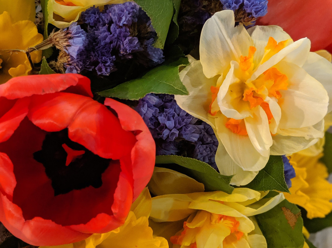 Indi Chocolate-西雅图必去景点