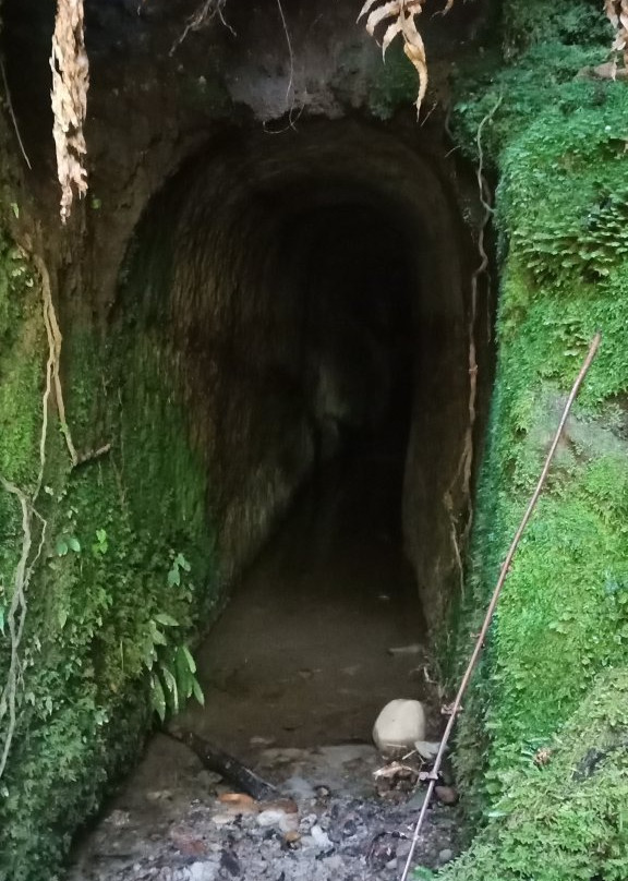 Woods Creek Track景点图片