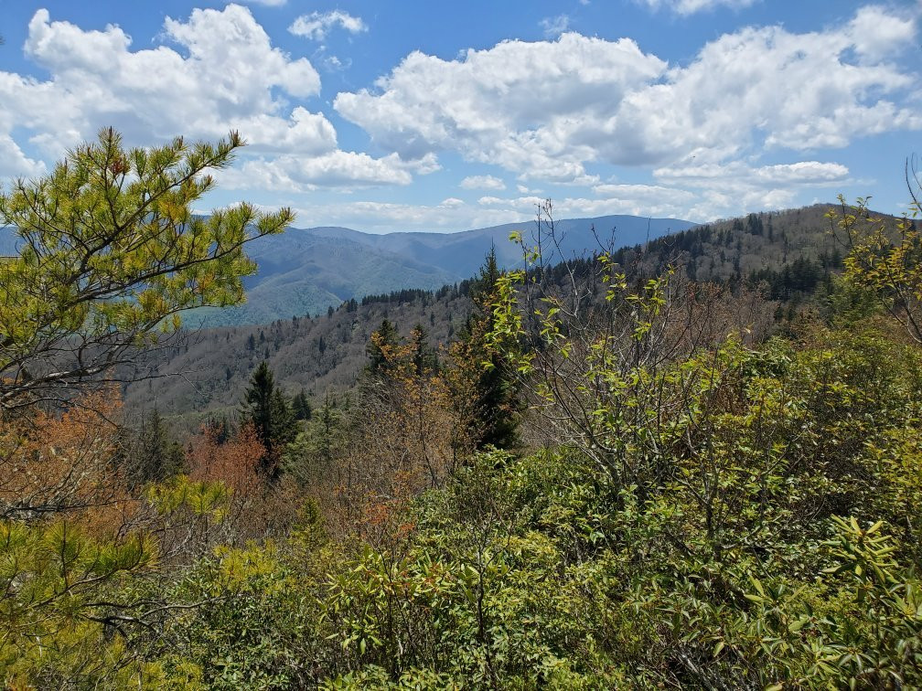 Mt Cammerer Fire Tower景点图片