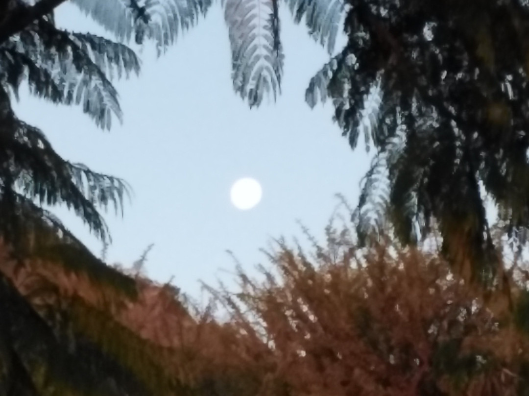 Weaver`s Rock Guest Farm主图