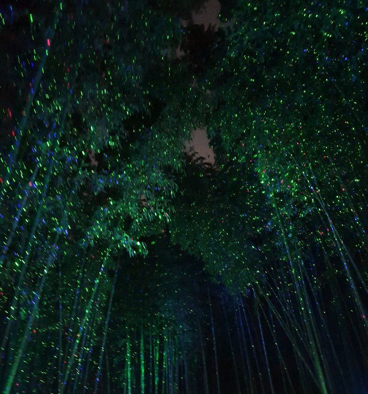 Taehwa River Seepri Bamboo Grove-蔚山必去景点