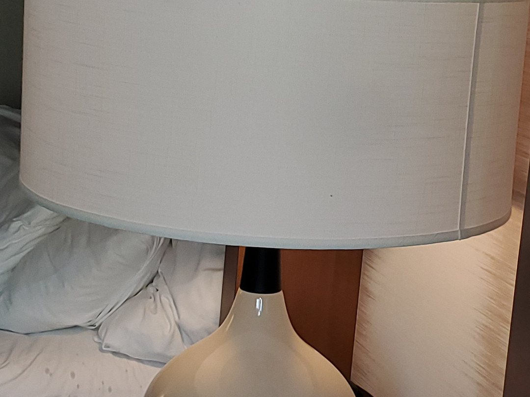 Best Western Holiday Hills主图