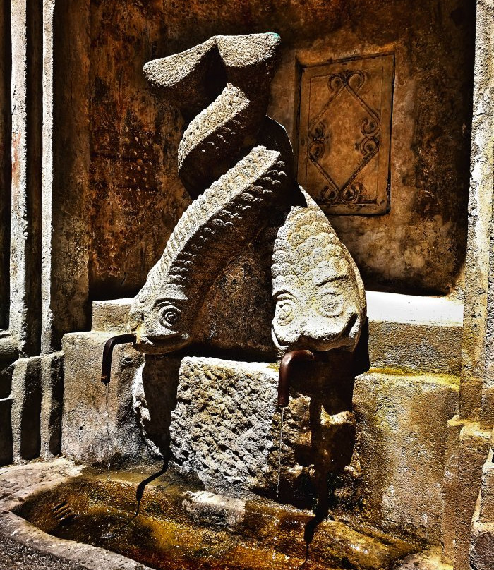 Fontana dei Delfini, detta Gebbia景点图片