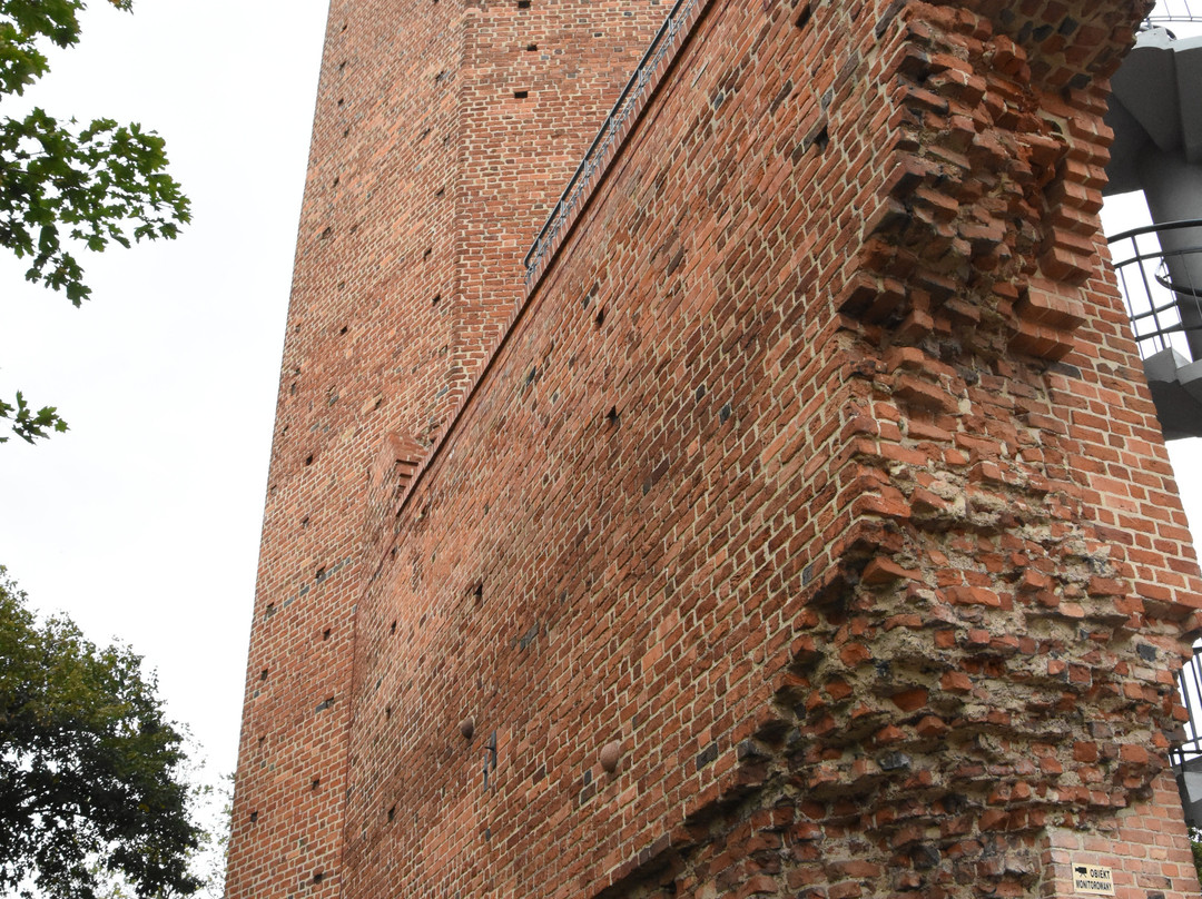 Kruszwica Medieval Castle景点图片
