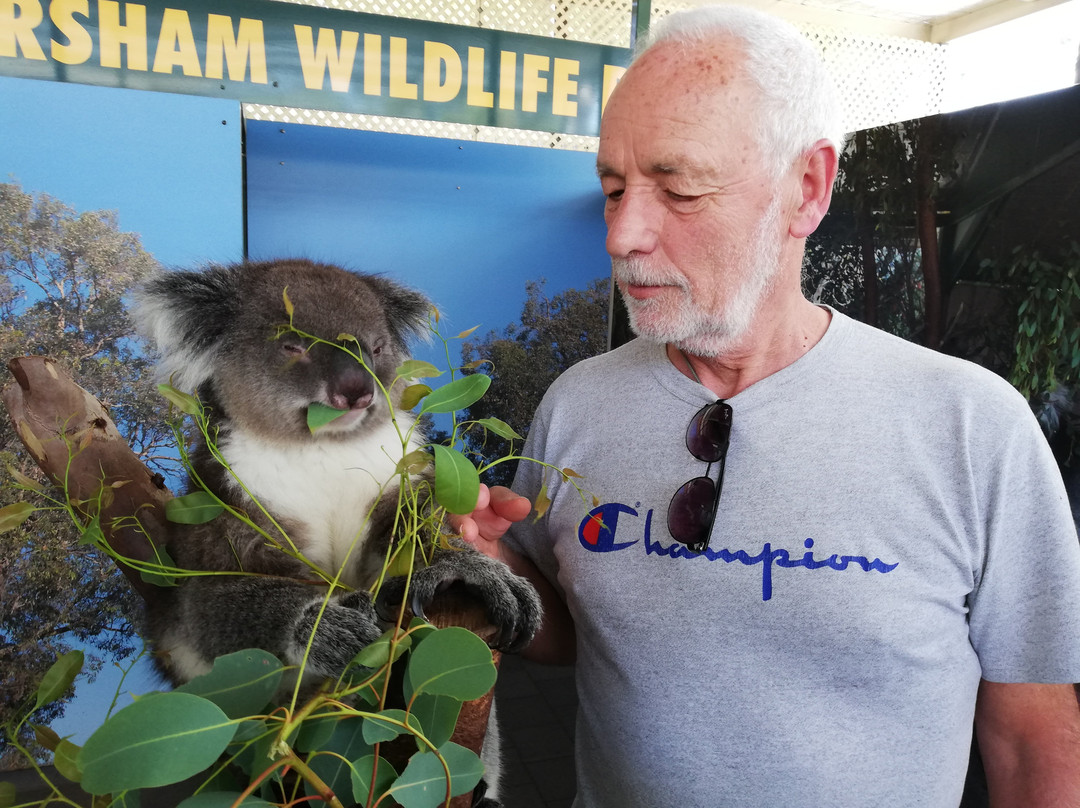 Caversham Wildlife Park景点图片