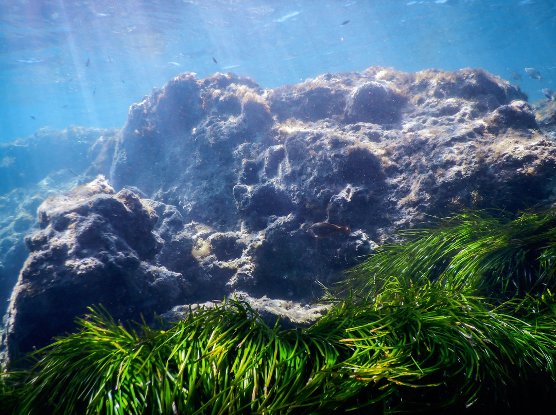 Wild Fun Dive-扎金索斯必去景点