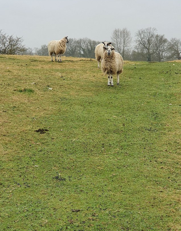 Fotheringhay Castle景点图片