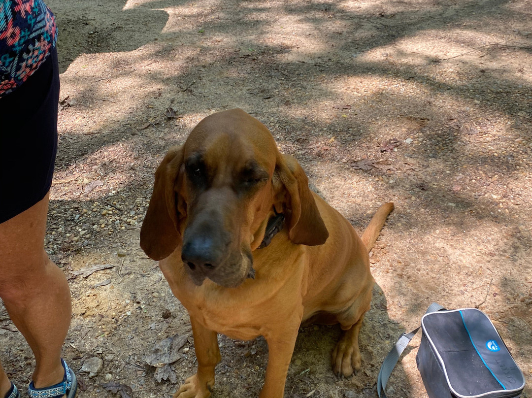 The Sandbar-Bowman必去景点