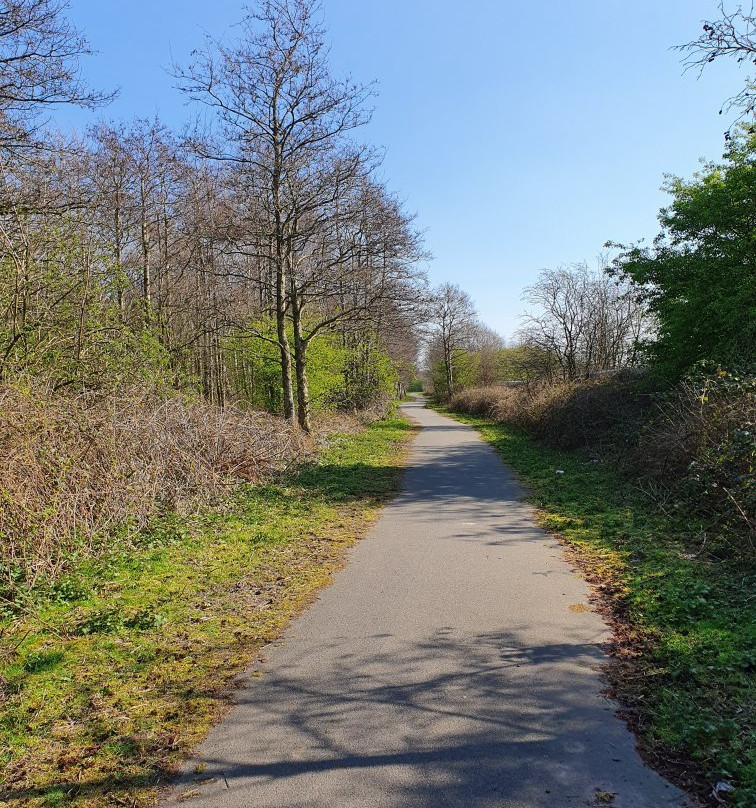 Alexandra Park-切斯特必去景点