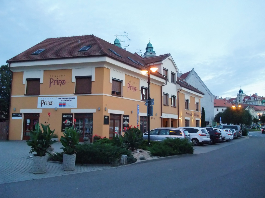 Penzion Prinz主图