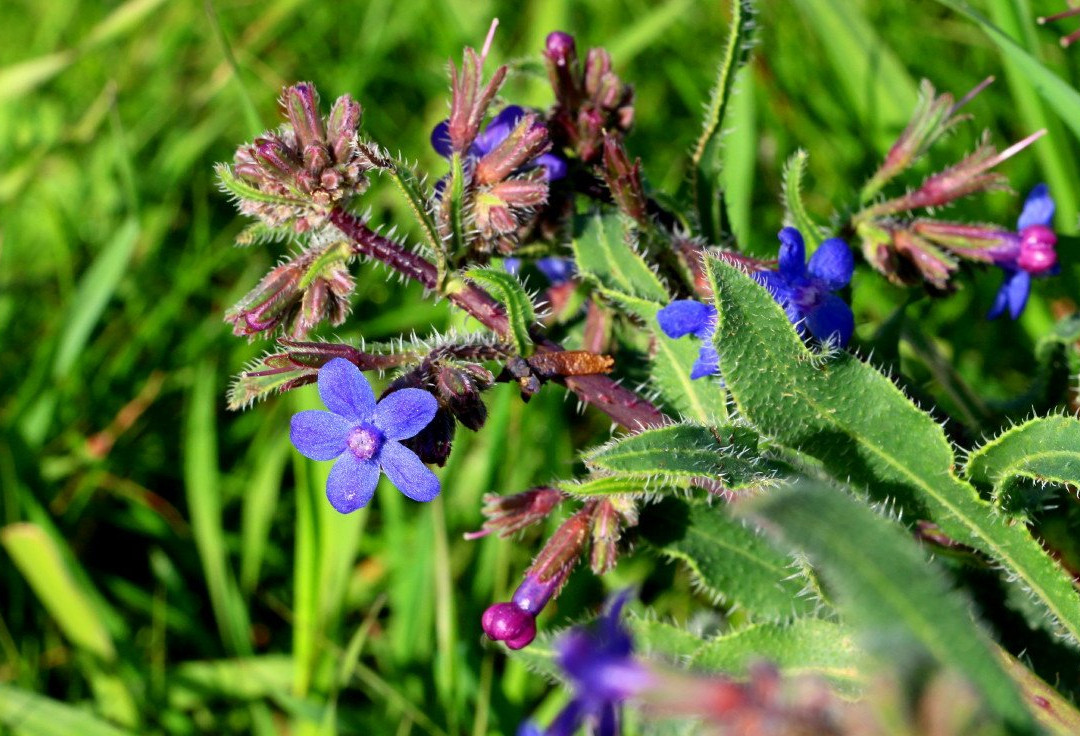 Pura Nature Reserve-贝尔谢巴必去景点
