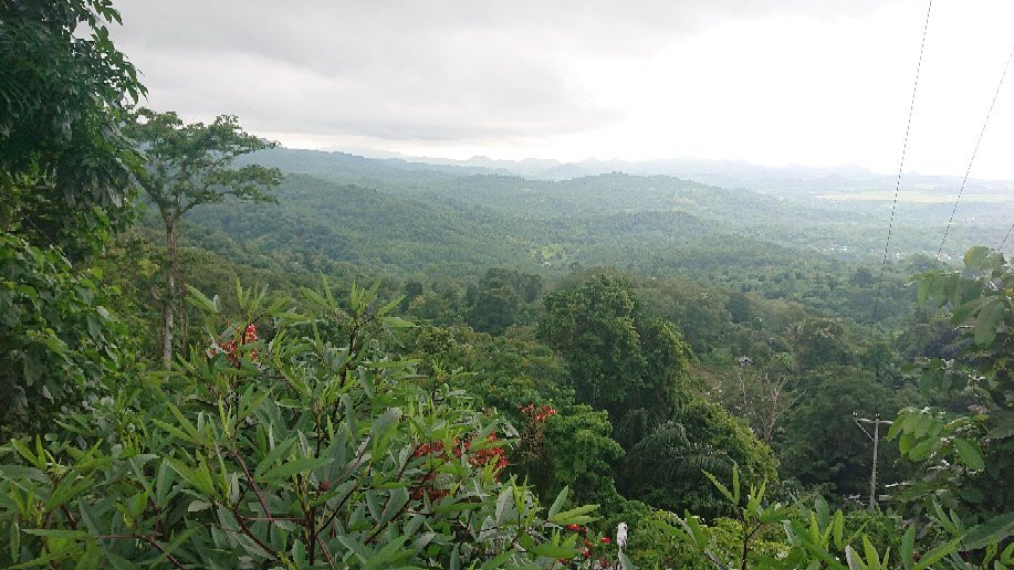 Flores Expert-Labuan Bajo必去景点