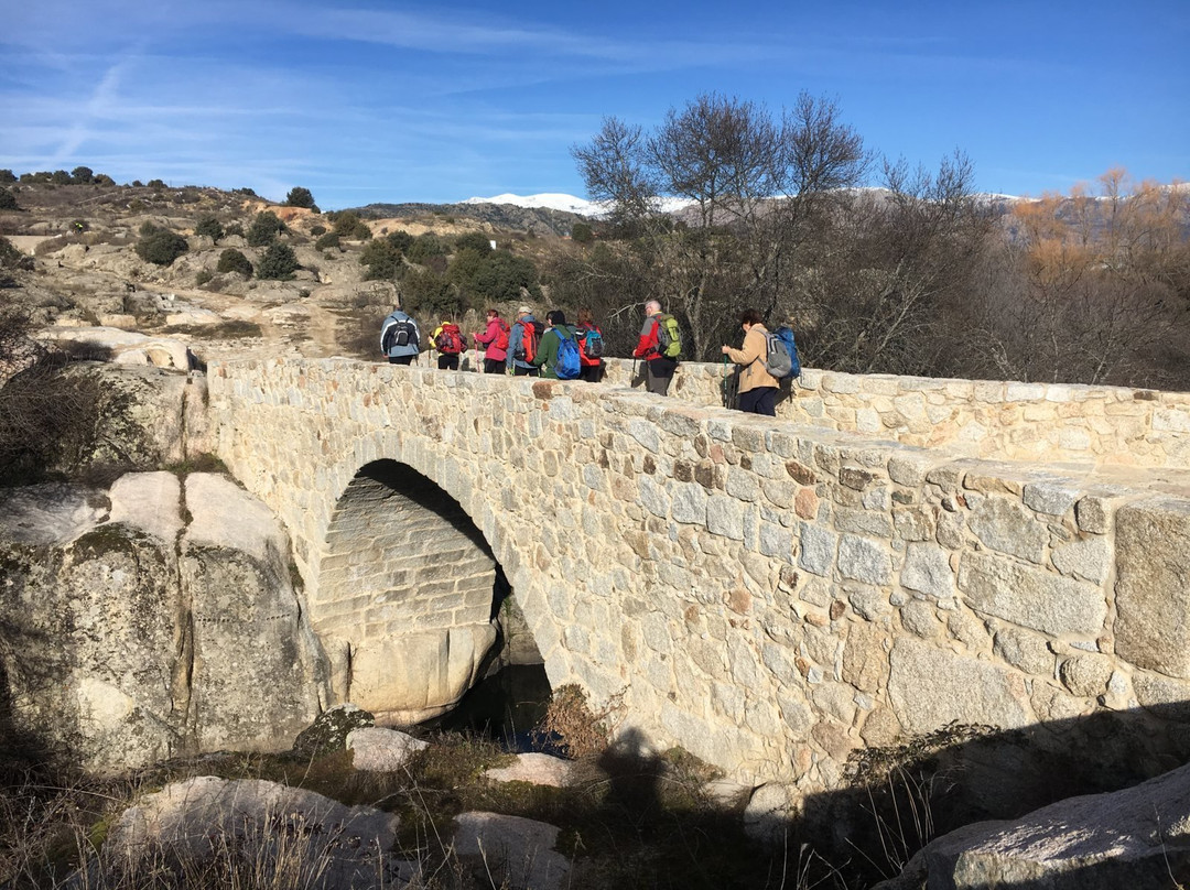 Parque Regional Cuenca Alta Del Manzanares景点图片