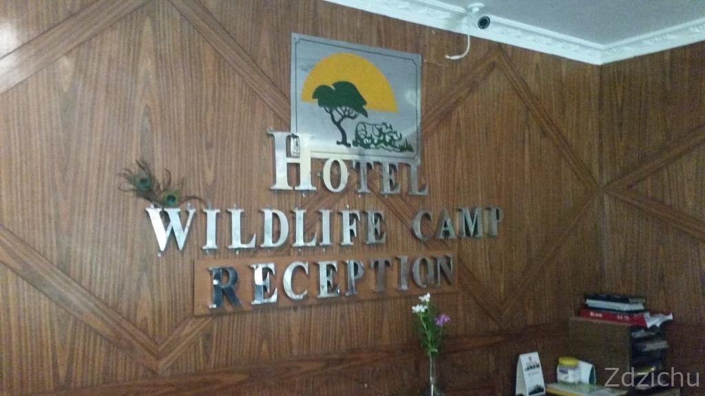 野生生活营酒店主图