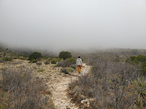Smith Spring-Guadalupe Mountains National Park必去景点