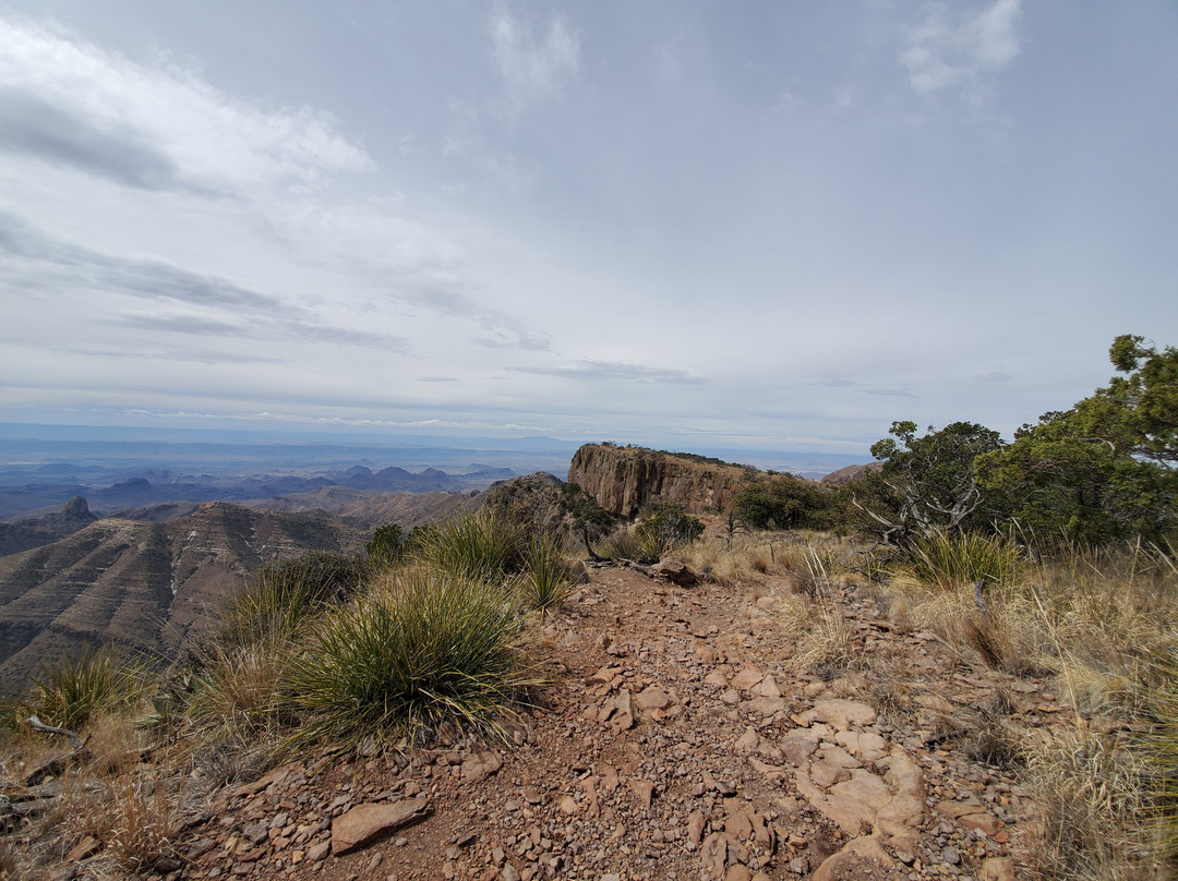 The South Rim Loop景点图片