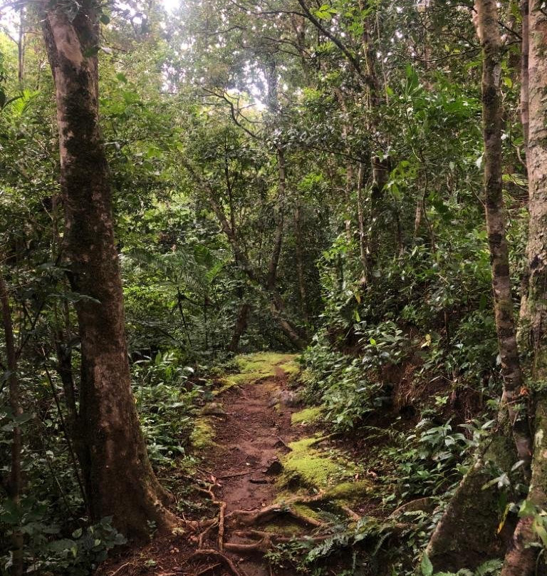 Monteverde Tours景点图片