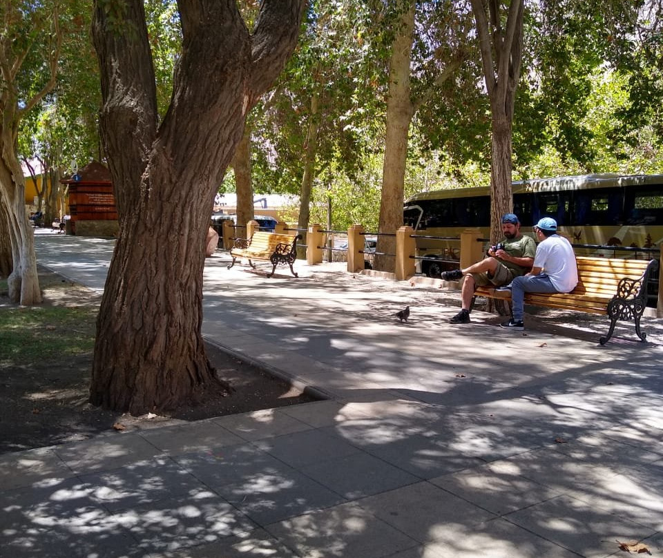 Plaza Pisco Elqui-Pisco Elqui必去景点