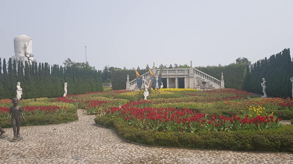 Da Nang Hoi An Private Tours & Shore Excursion-岘港必去景点