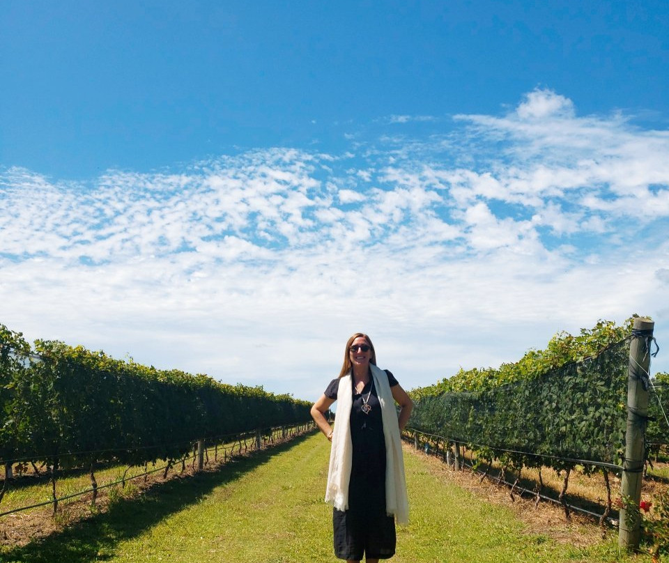 Bodega Terra Camiare景点图片