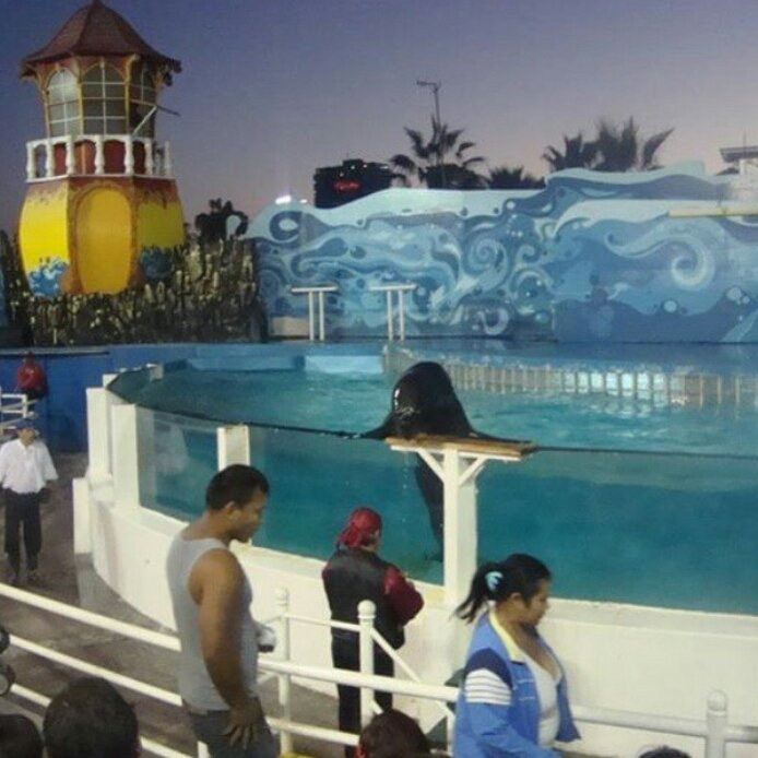 Paseo Peatonal Cavancha-伊基克必去景点