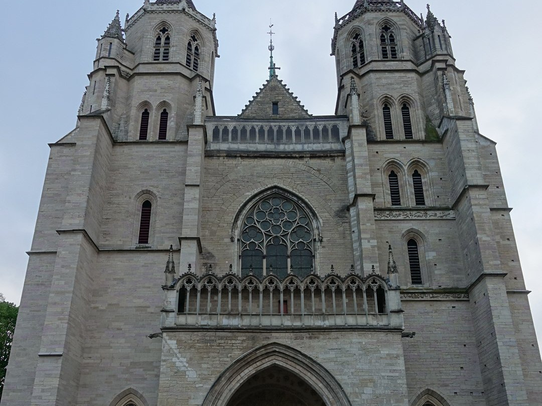 Cathédrale Saint-Bénigne de Dijon景点图片