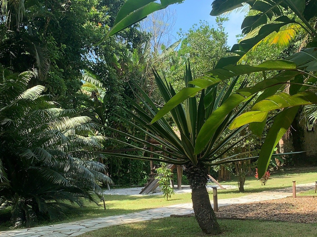 Pousada Bico Verde主图