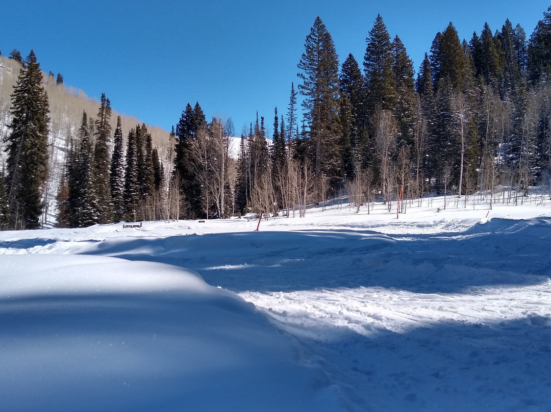 Mill Creek Canyon-盐湖城必去景点